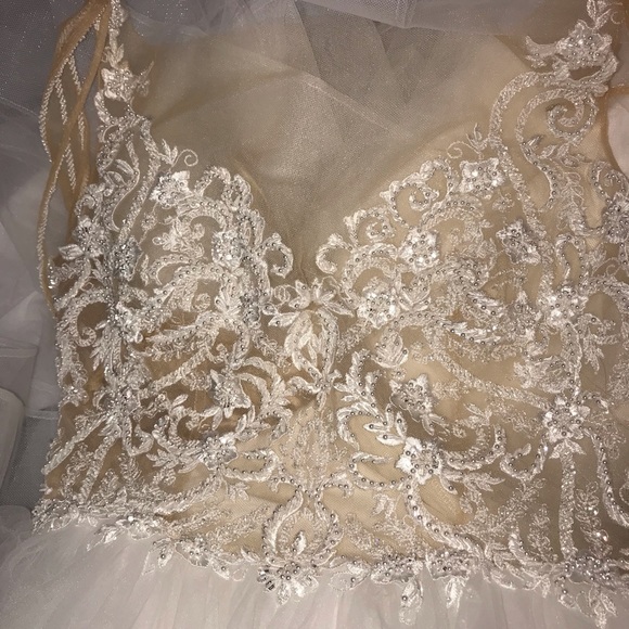 Stunning wedding gown! New with tags! - Picture 5 of 16